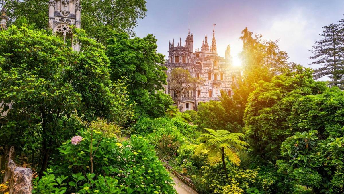 a garden in front of a building with the sun shining