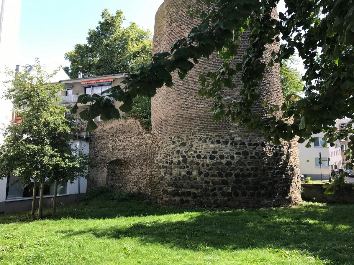 un vecchio edificio in mattoni con un albero nell'erba