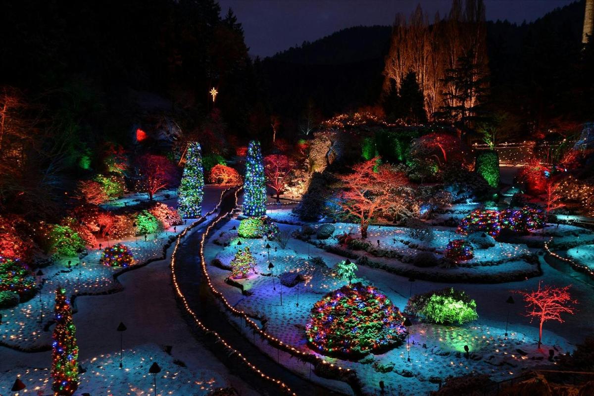 una mostra di luci natalizie in un giardino di notte