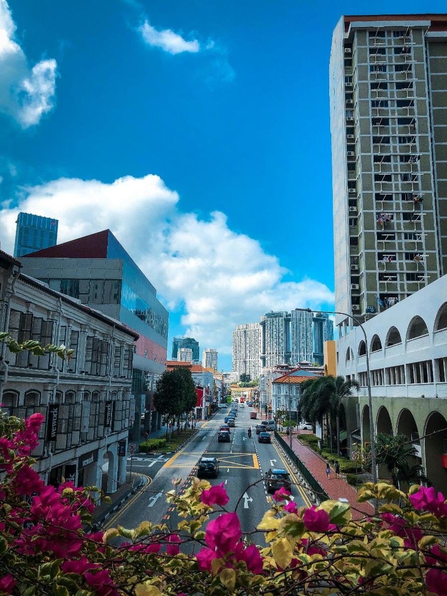uma vista de uma rua da cidade com prédios e flores