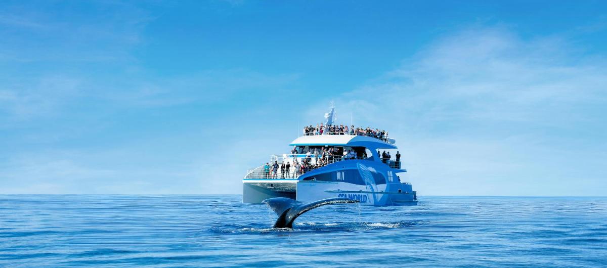 a boat with a whale in the ocean