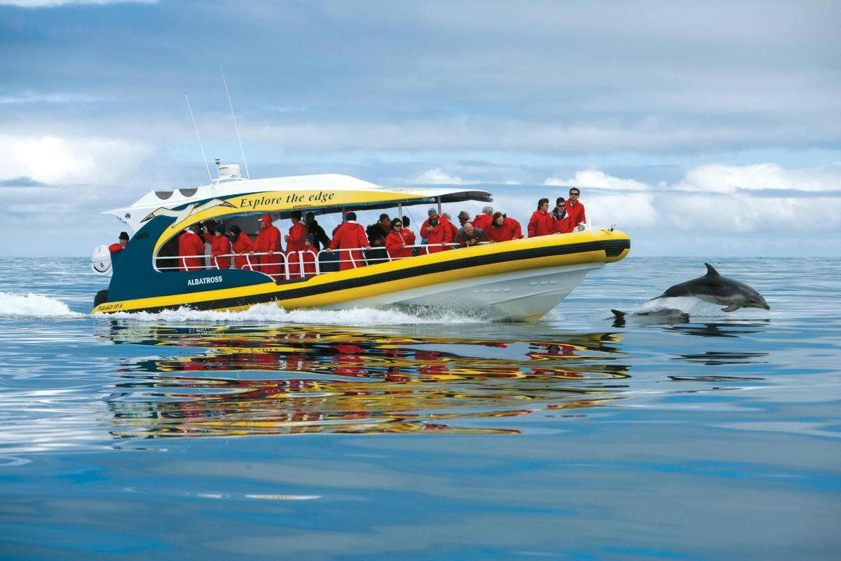 a group of people on a boat in the water with a dolphin