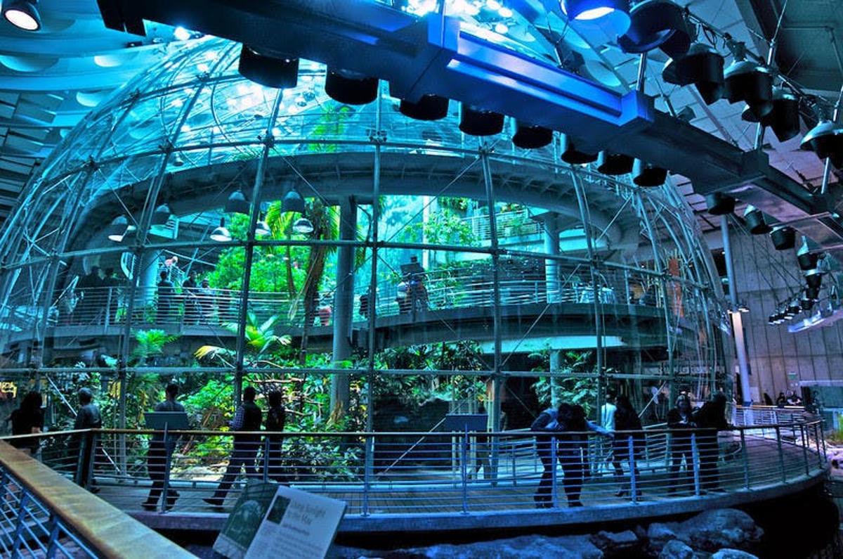 a large glass dome in a building with people in it