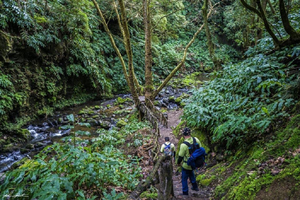 seorang lelaki dan seorang kanak-kanak berjalan di atas denai di dalam hutan