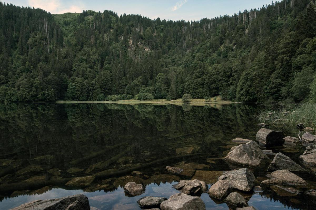 Fotografie atrakce č. 4