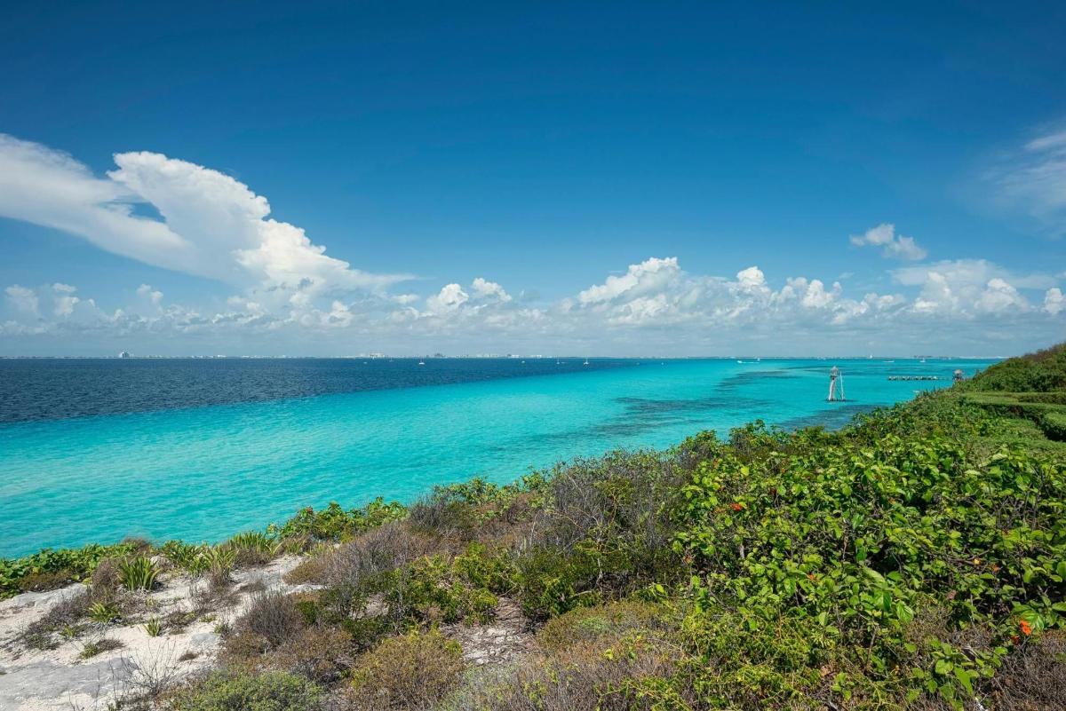 una vista del océano desde la orilla de una playa