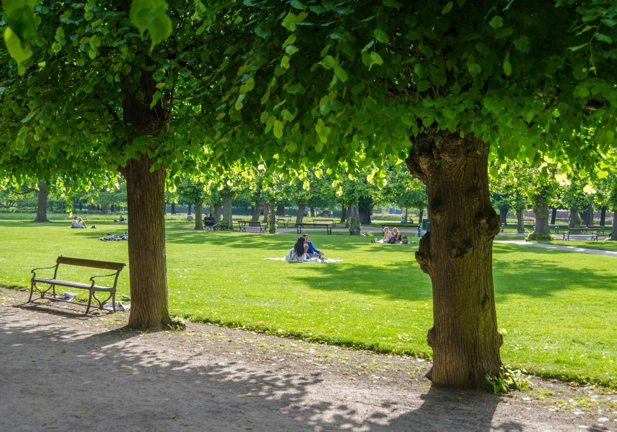 park se dvěma stromy a lidmi sedícími v trávě