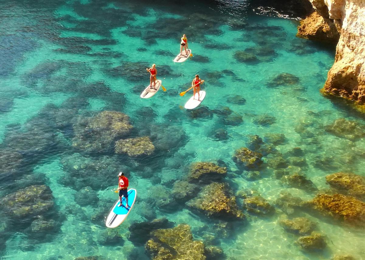 un gruppo di persone su tavole da surf in acqua