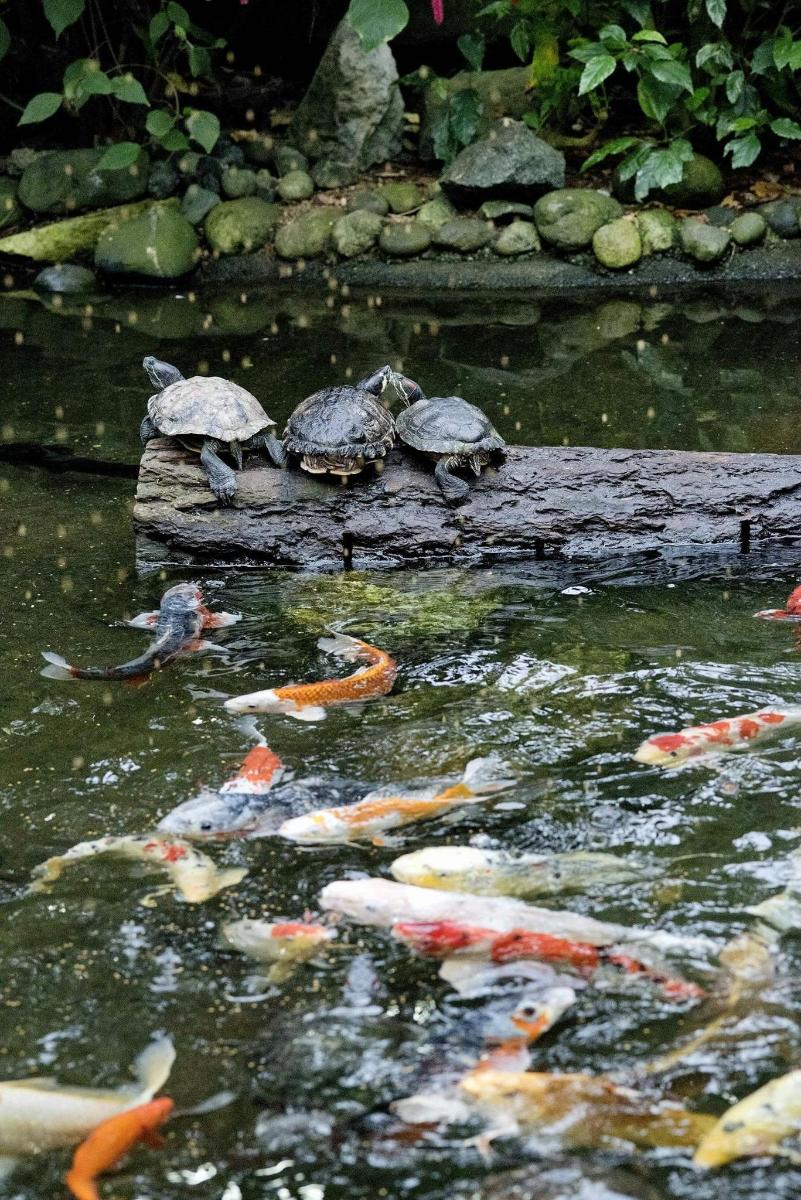 Turistik nokta fotoğrafı 5