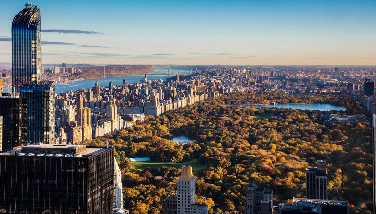 Una vista aérea de una ciudad con árboles y edificios.