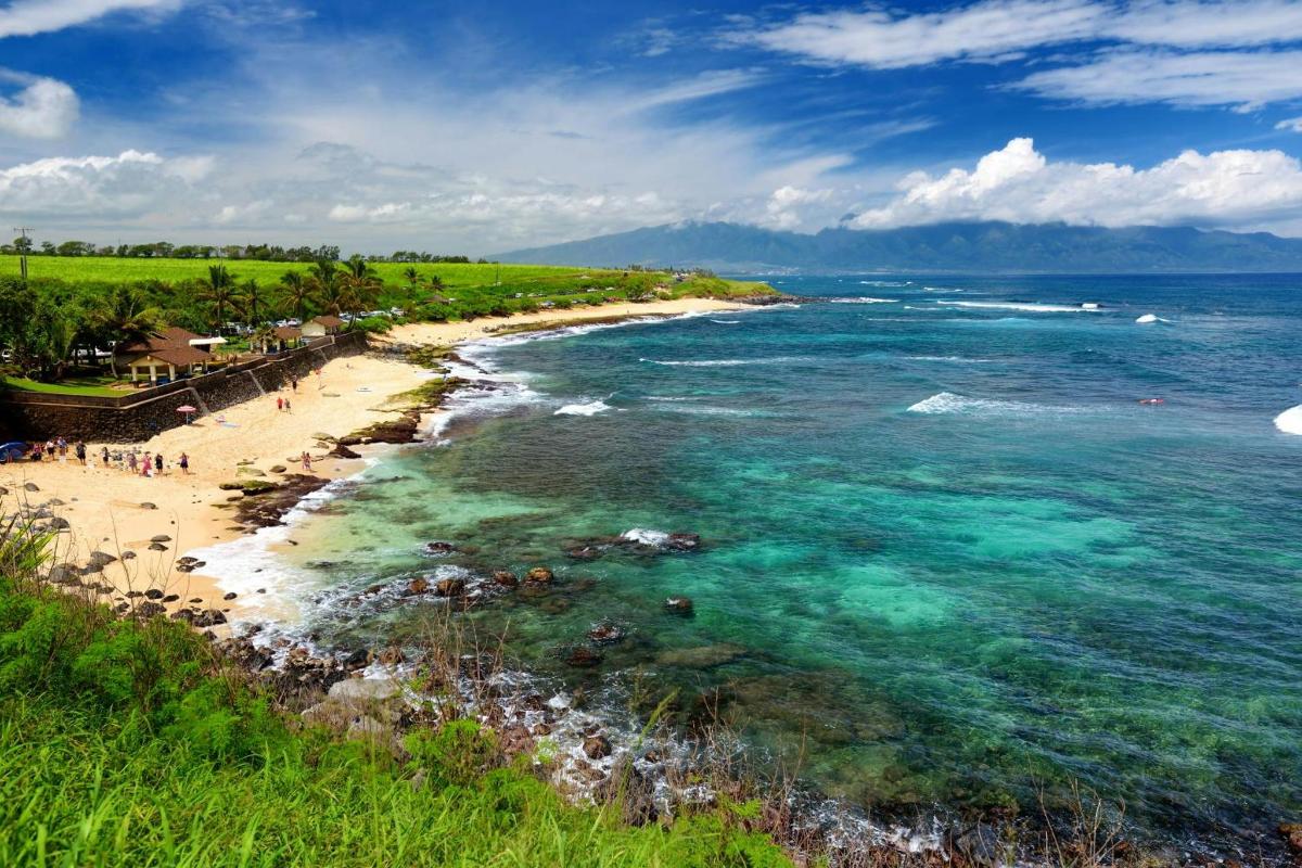 pemandangan udara pantai dengan orang ramai di atasnya