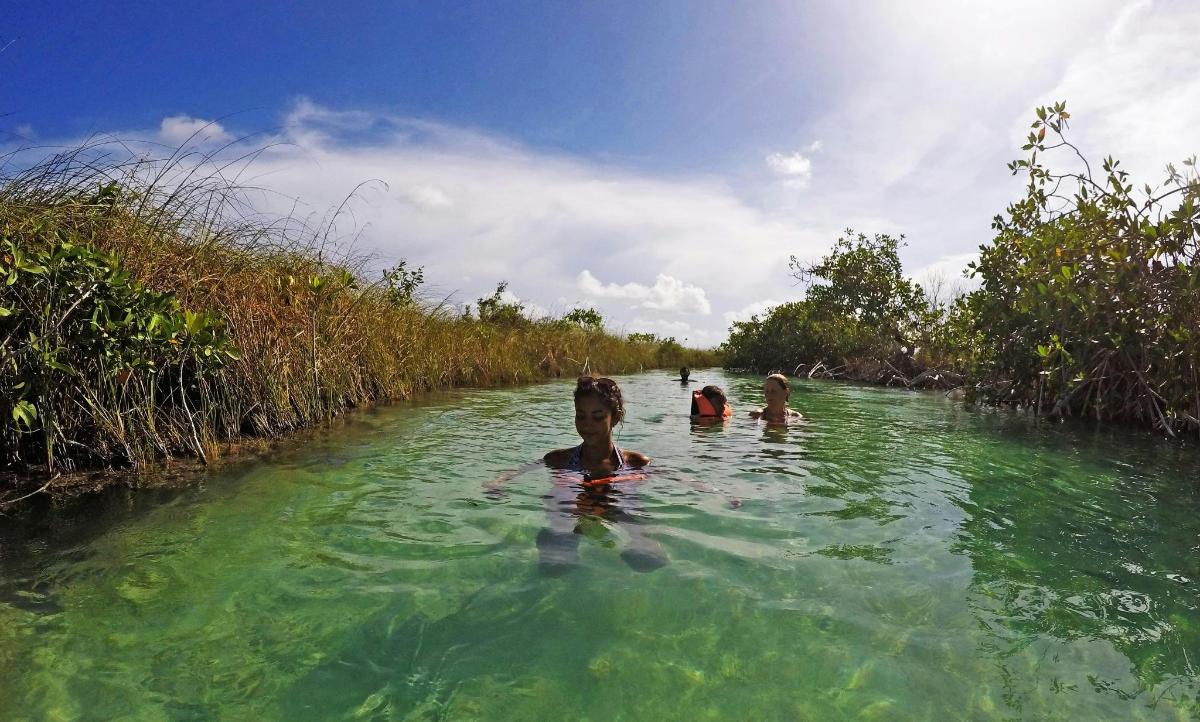 een groep mensen die in een rivier zwemt