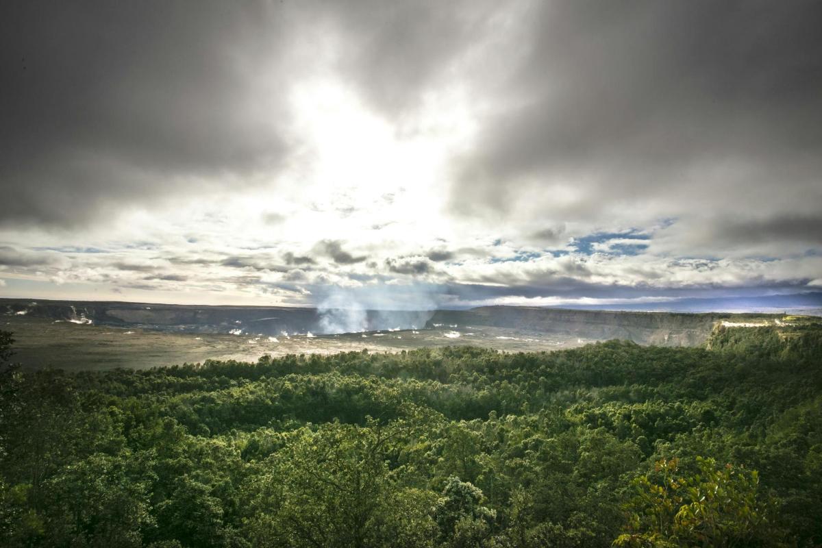 a view of a geyser in the middle of a forest