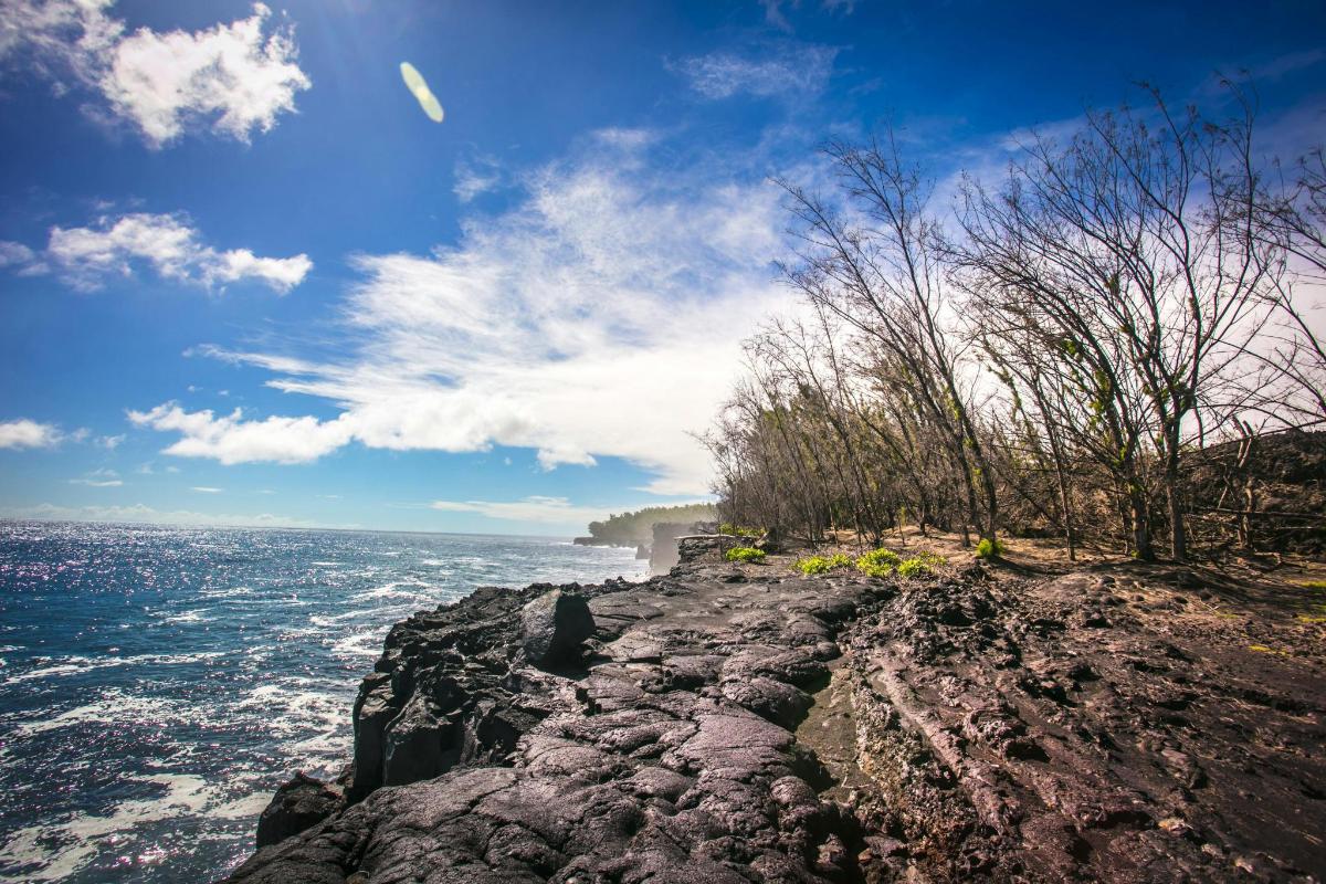 a cliff with trees on top of the ocean
