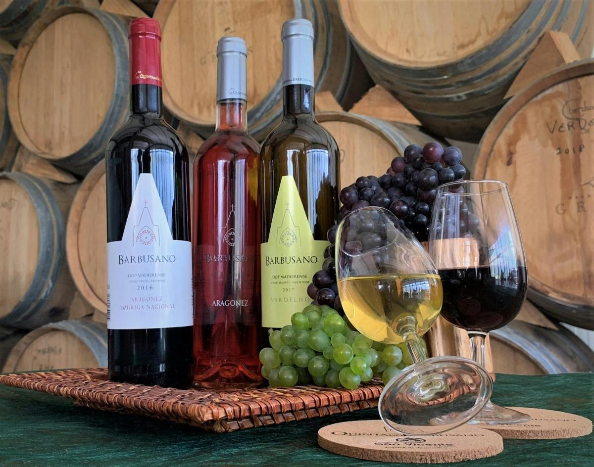skupina steklenic vina in grozdja na mizi
