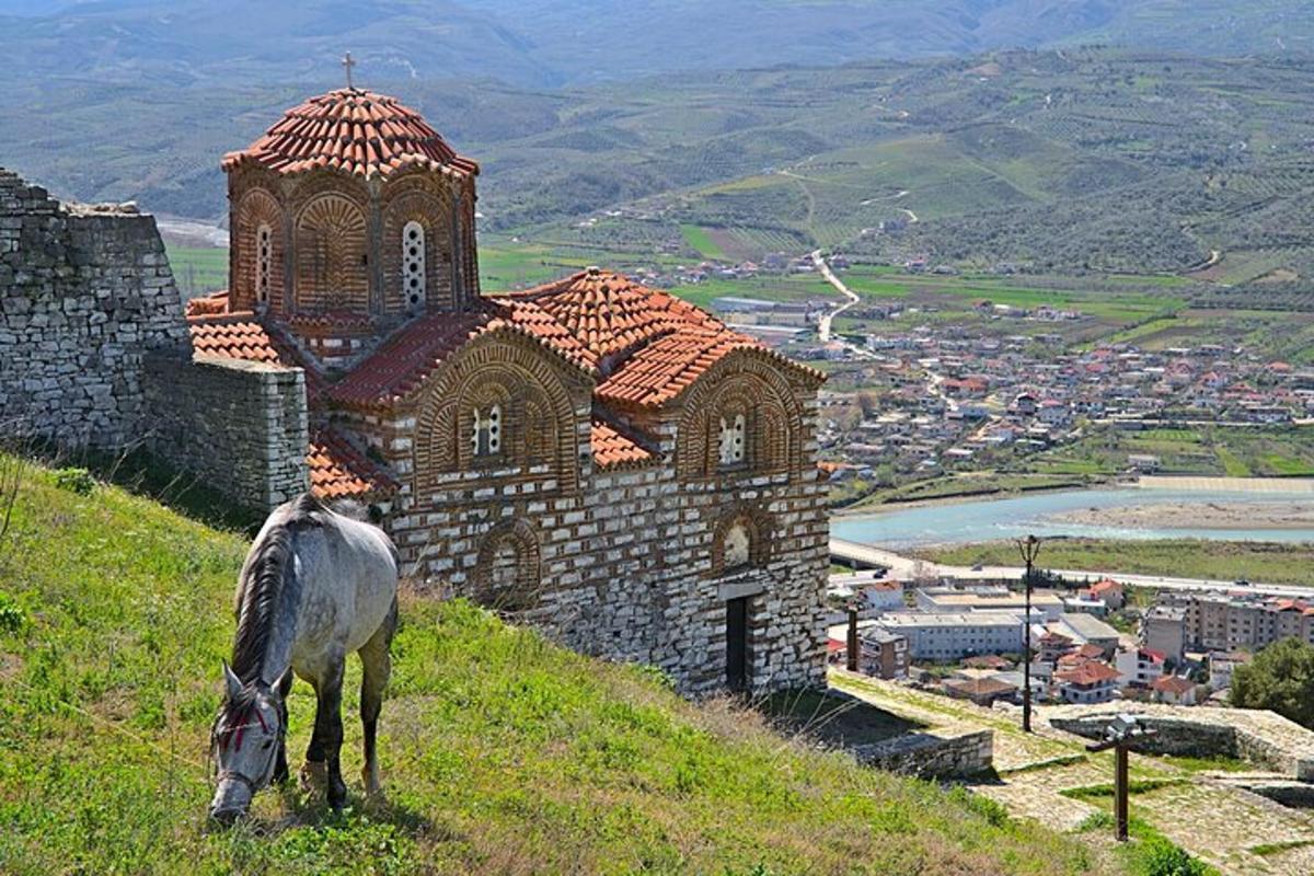 un cavallo in piedi su una collina accanto a una chiesa
