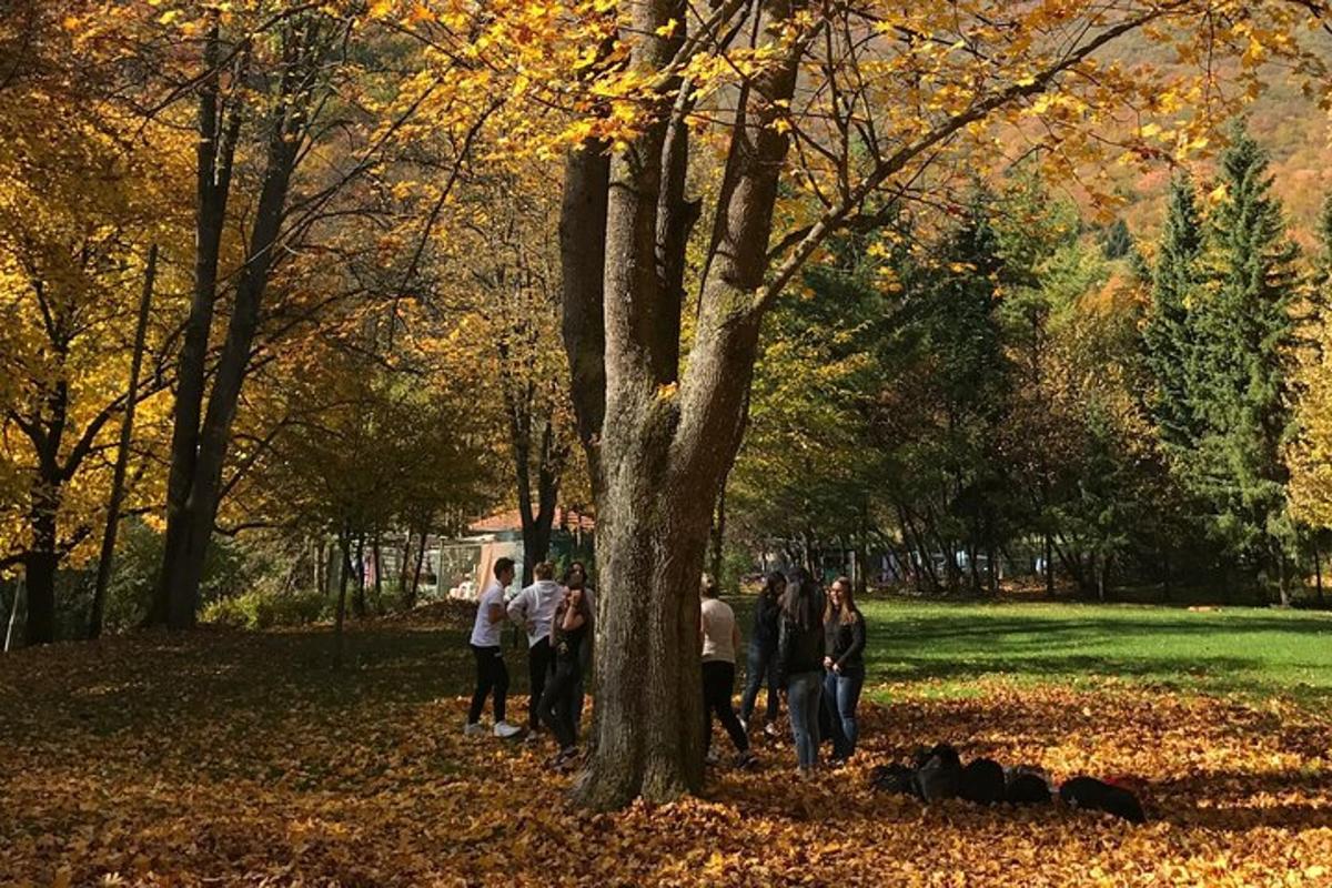 grupė žmonių, stovinčių aplink medį parke