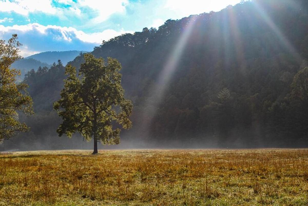 Turistik nokta fotoğrafı 6