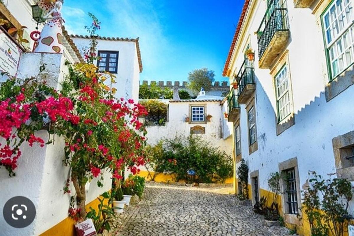 a cobblestone street in a village with flowers