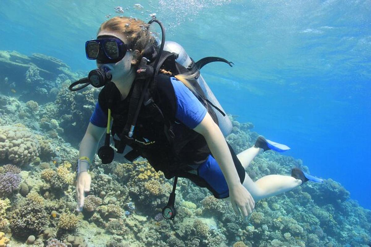 una donna in attrezzatura da sub su una barriera corallina