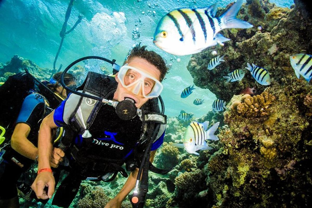 un uomo con una macchina fotografica di fronte a una barriera corallina con pesci