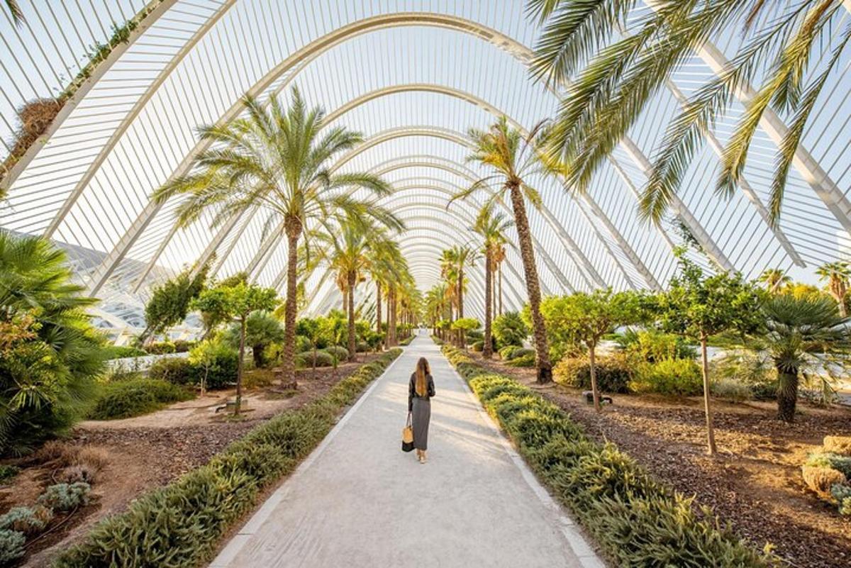 una dona caminant per un camí en un hivernacle amb palmeres