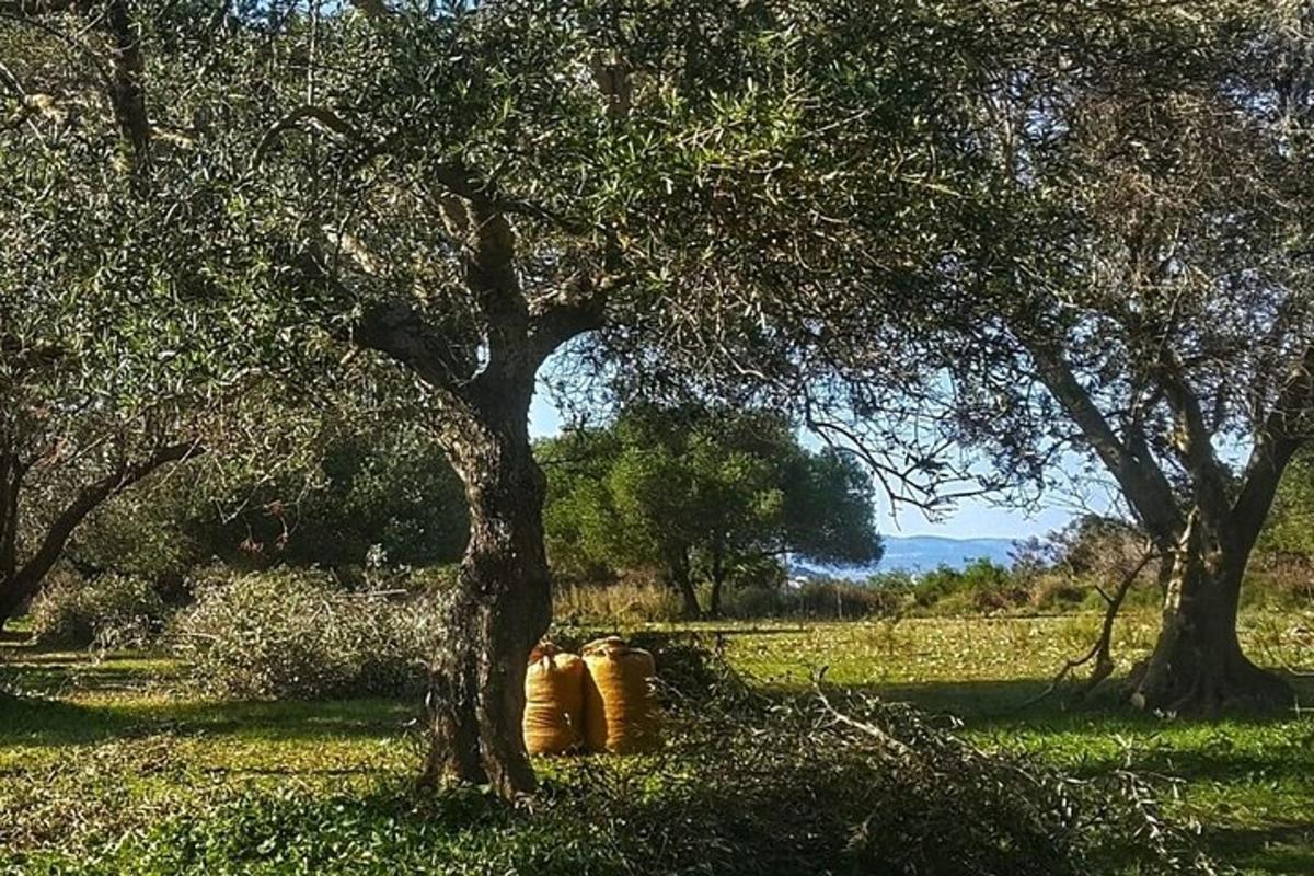 Φωτογραφία αξιοθέατου 1