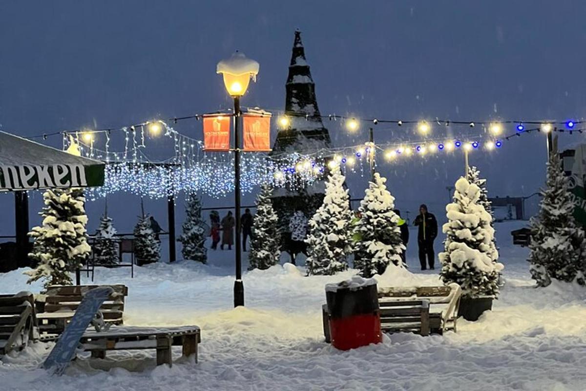 un parco coperto di neve con un lampione e luci