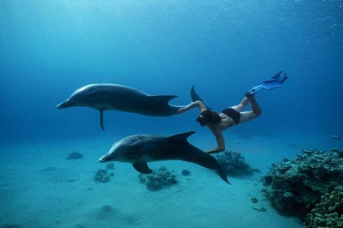 dve osebi plavata v oceanu z delfini
