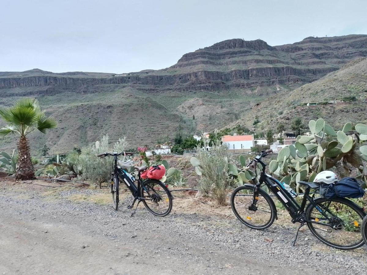 tres bicicletes aparcades a la vora d'un camí de terra
