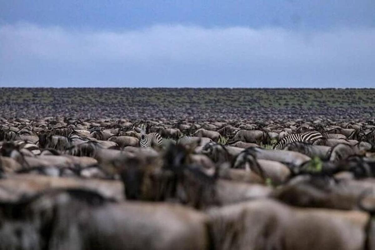 Ljósmynd af afþreyingu 2