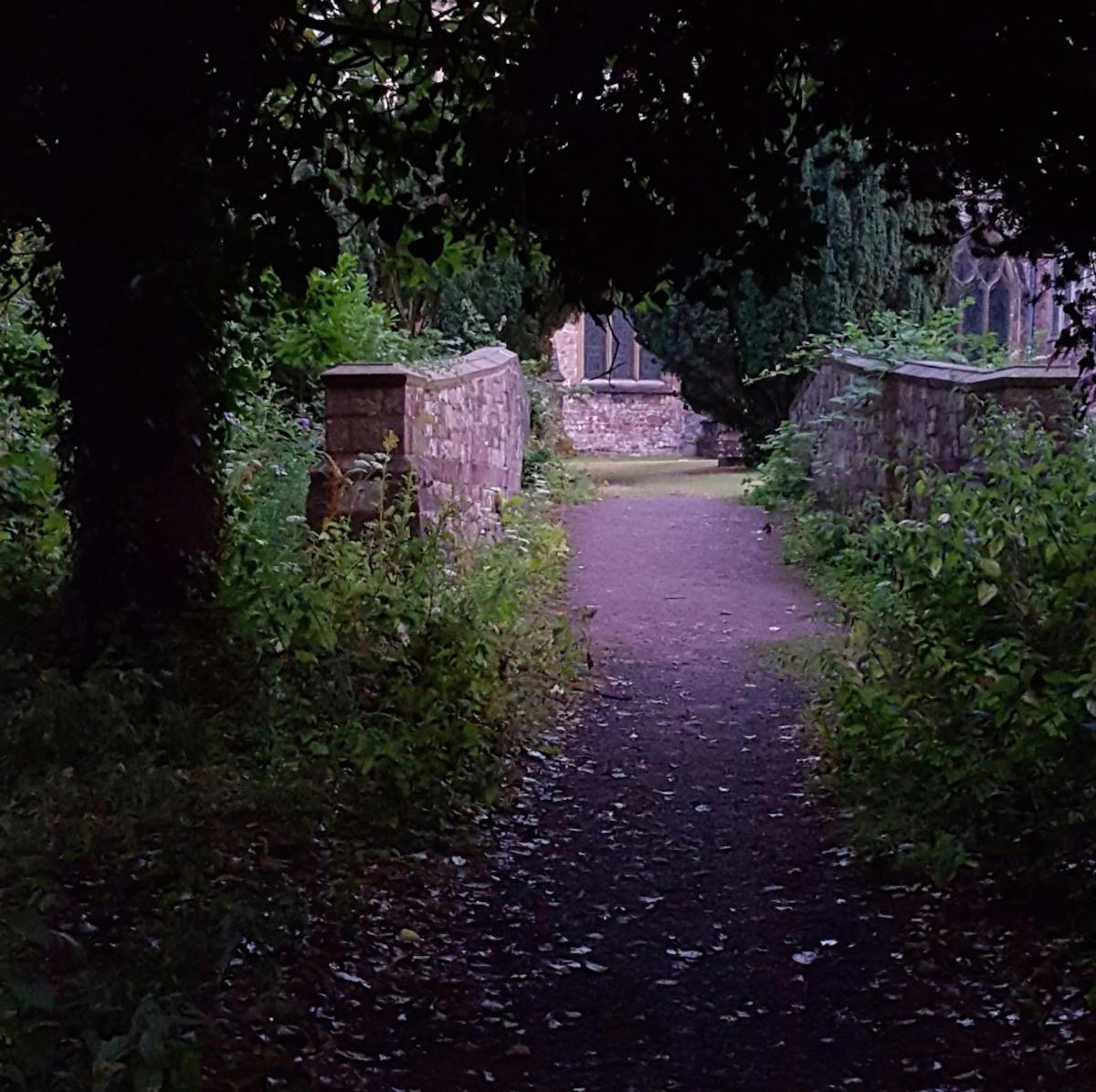 un sentier pédestre dans un parc avec un mur de pierre