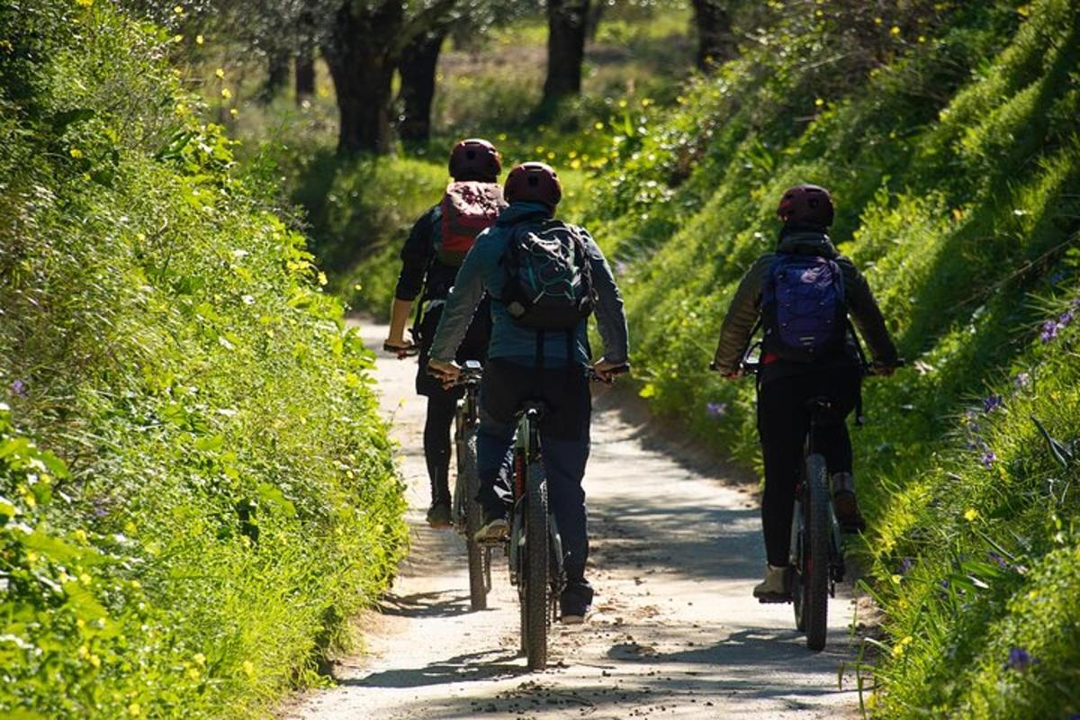 Lankytinos vietos ar pramogos nuotrauka numeris 3