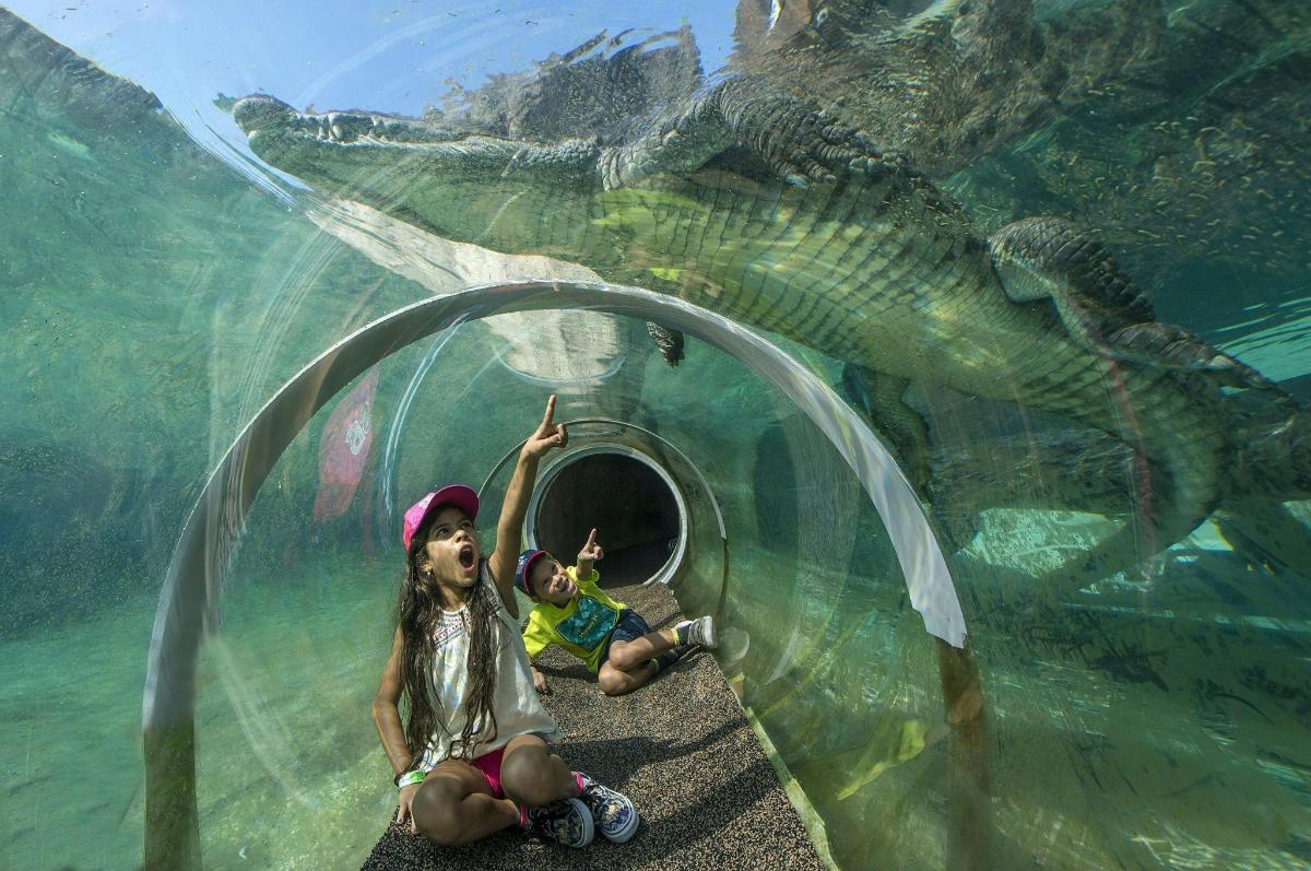 a couple of kids sitting in front of a crocodile aquarium