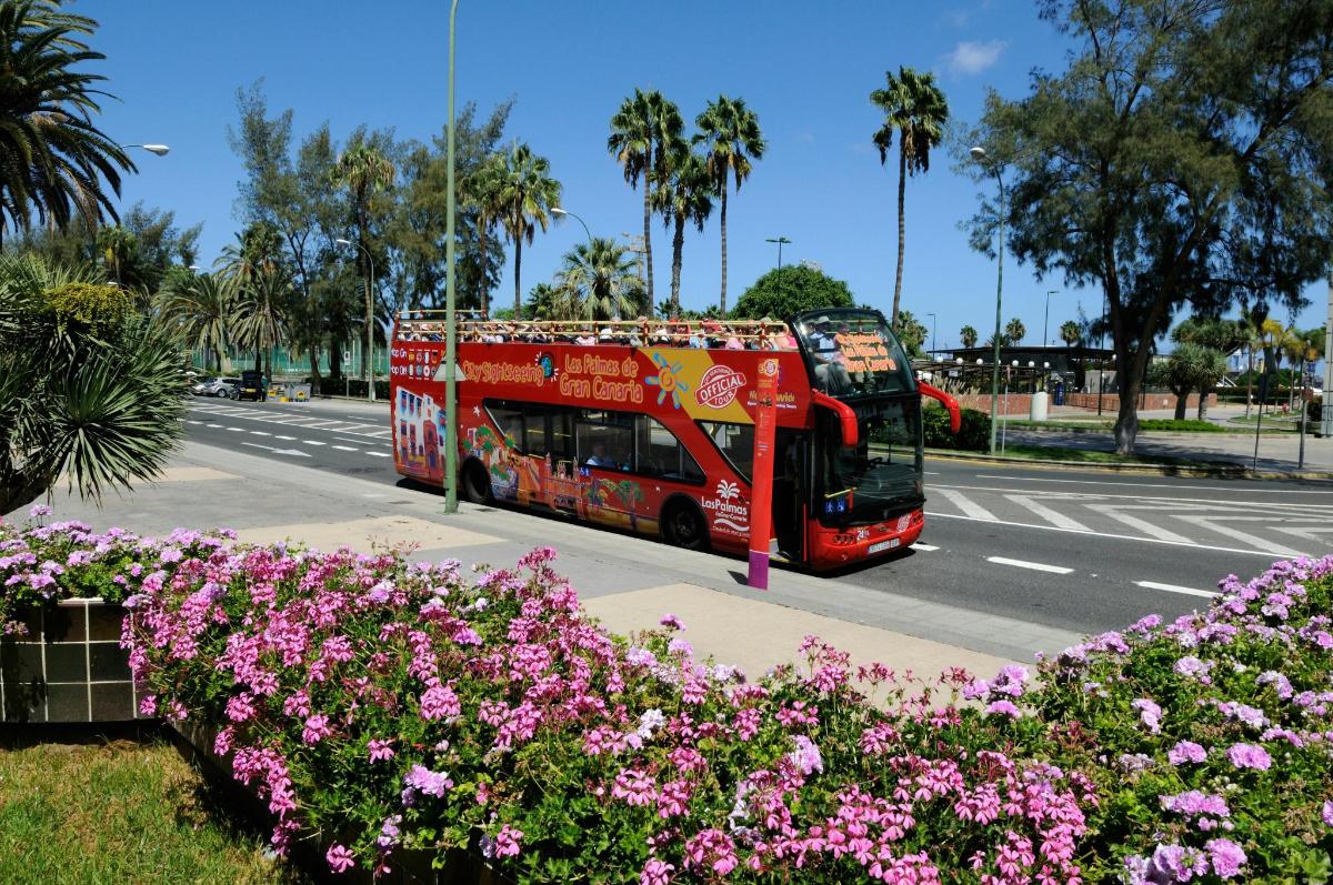punane kahekordne buss sõidab mööda lilledega kaetud tänavat