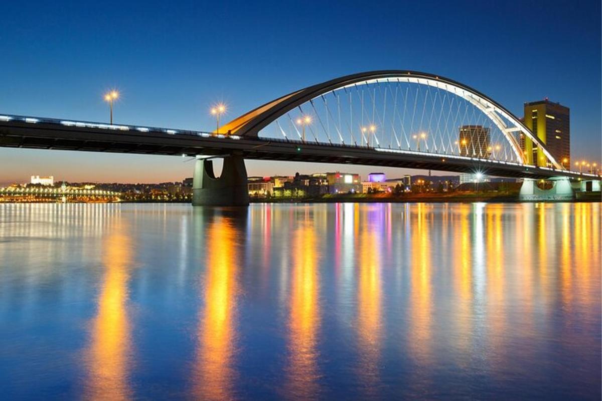 a bridge over a body of water with a city