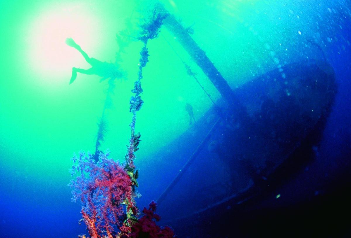a person standing in the water next to a reef