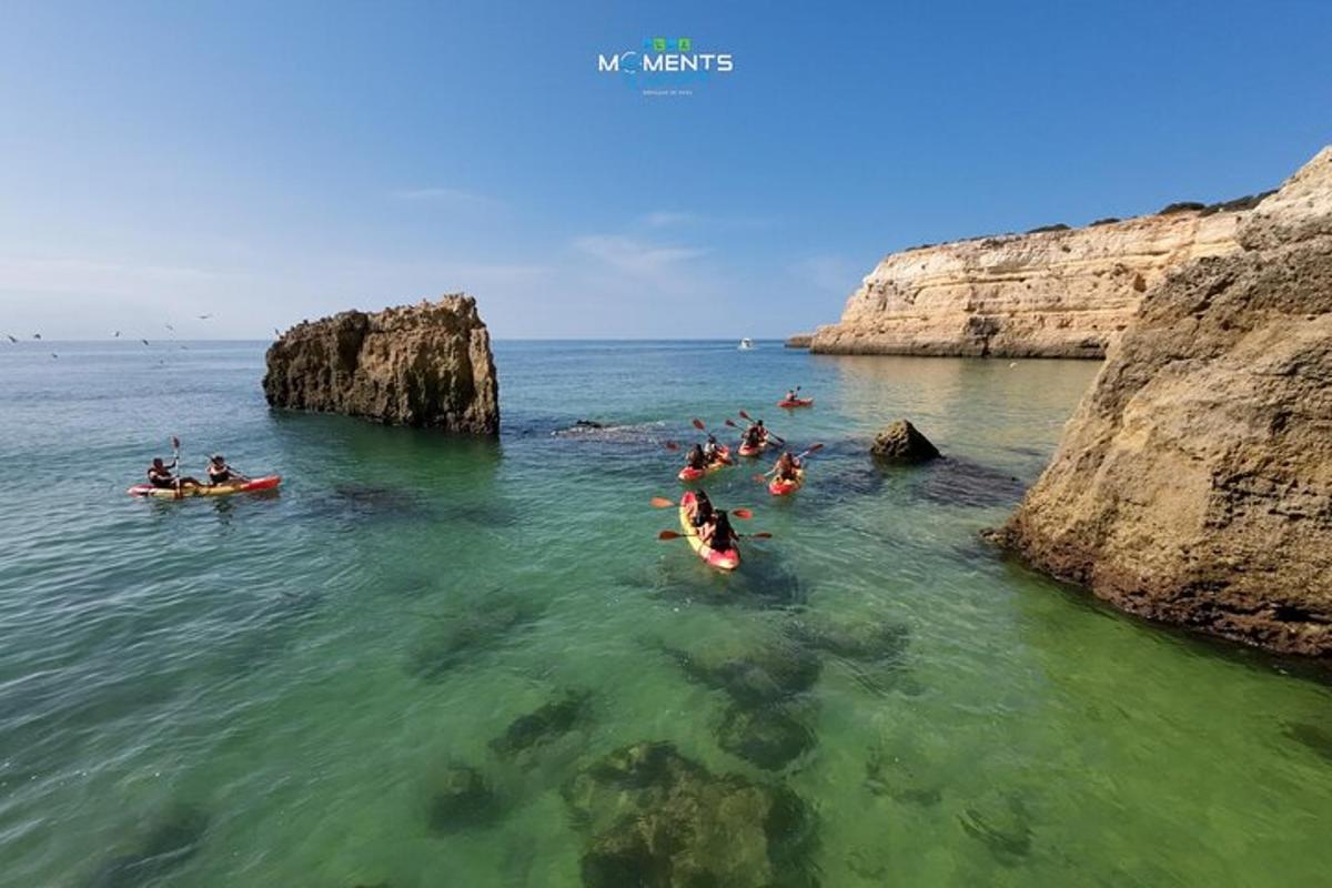 a group of people in the water at a beach