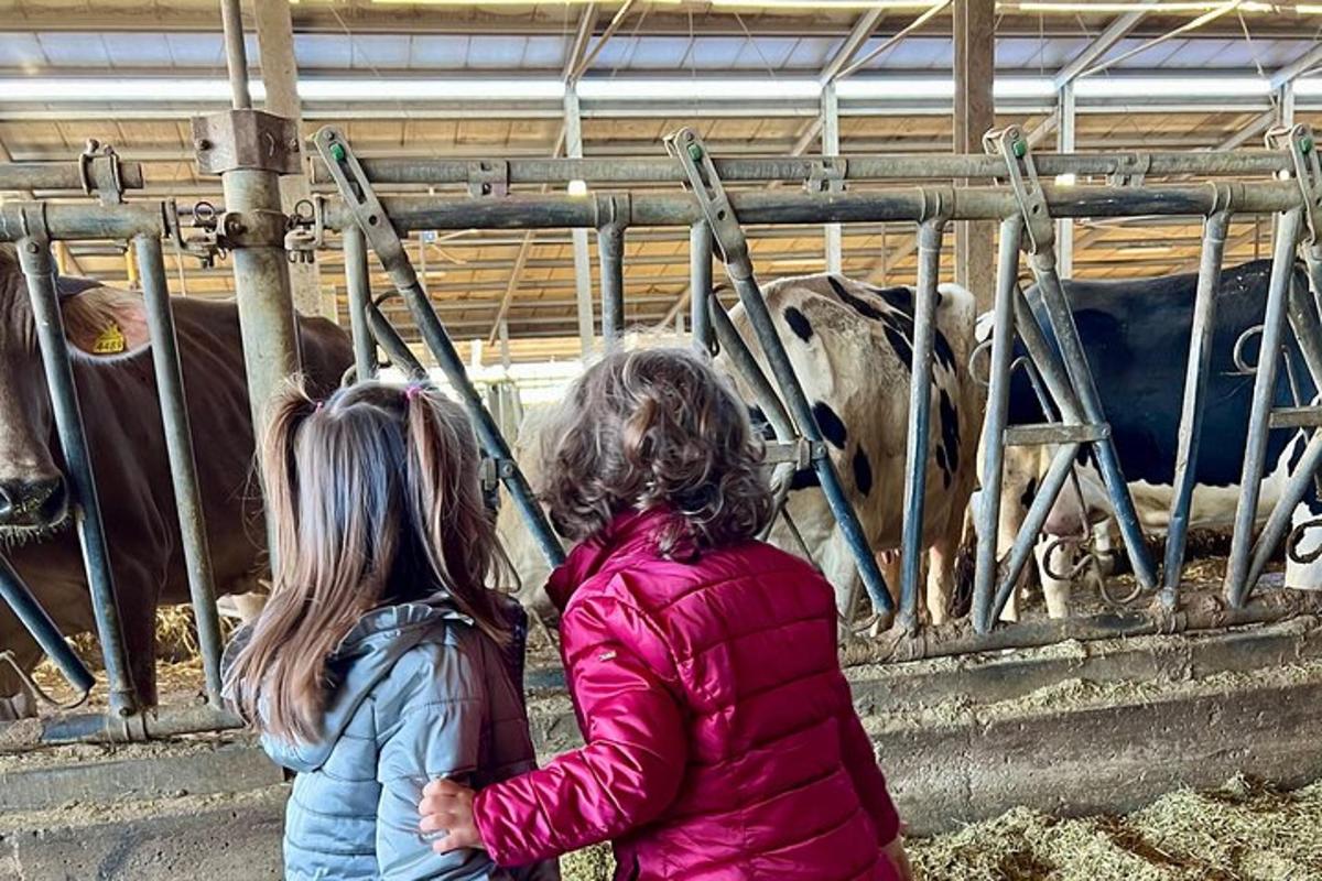 Dos niñas están paradas frente a una vaca.