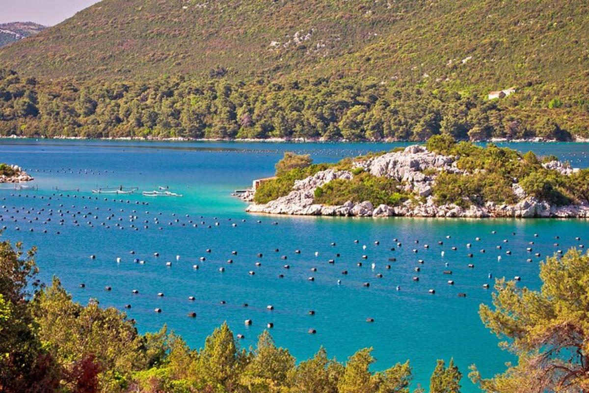 veliko jezero z veliko pticami v vodi