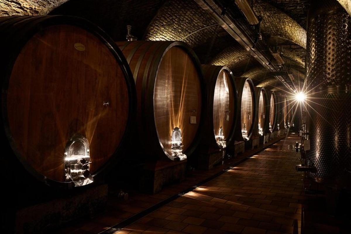 una fila de barriles de vino en una bodega