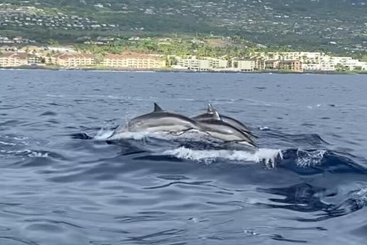 Lankytinos vietos ar pramogos nuotrauka numeris 6