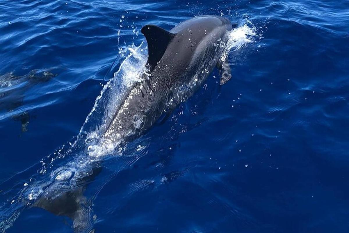 Lankytinos vietos ar pramogos nuotrauka numeris 7