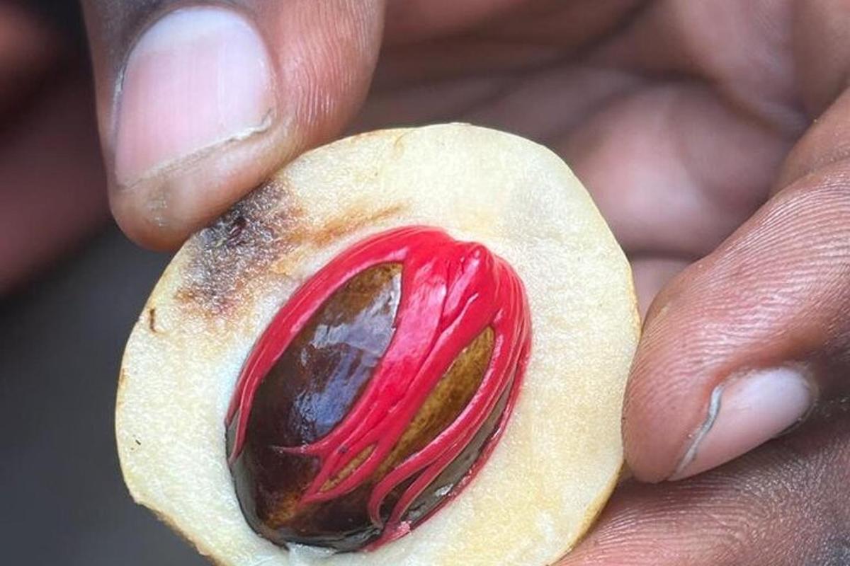 a person holding a piece of food with a red object