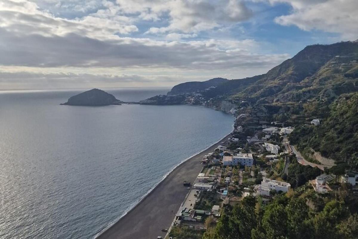 una vista aerea di una spiaggia e dell'oceano