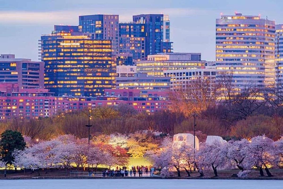 uno skyline cittadino con edifici alti e un parco con alberi