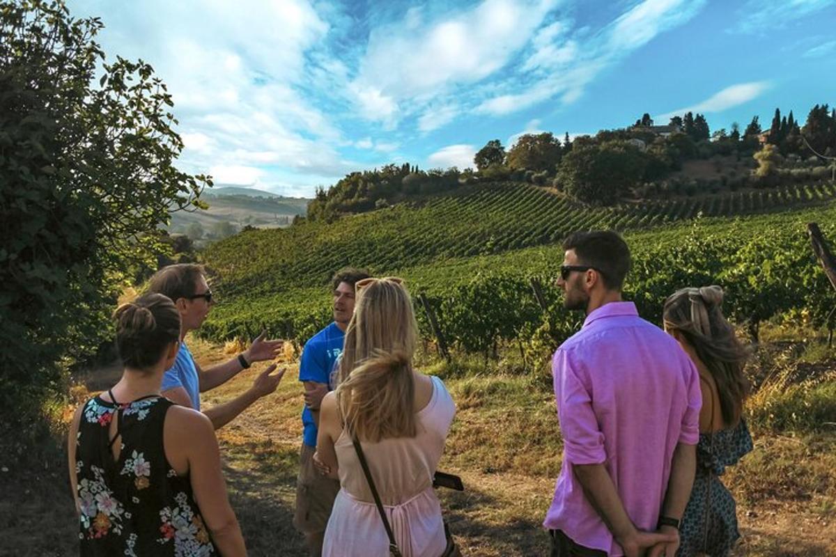 un groupe de personnes debout devant un vignoble