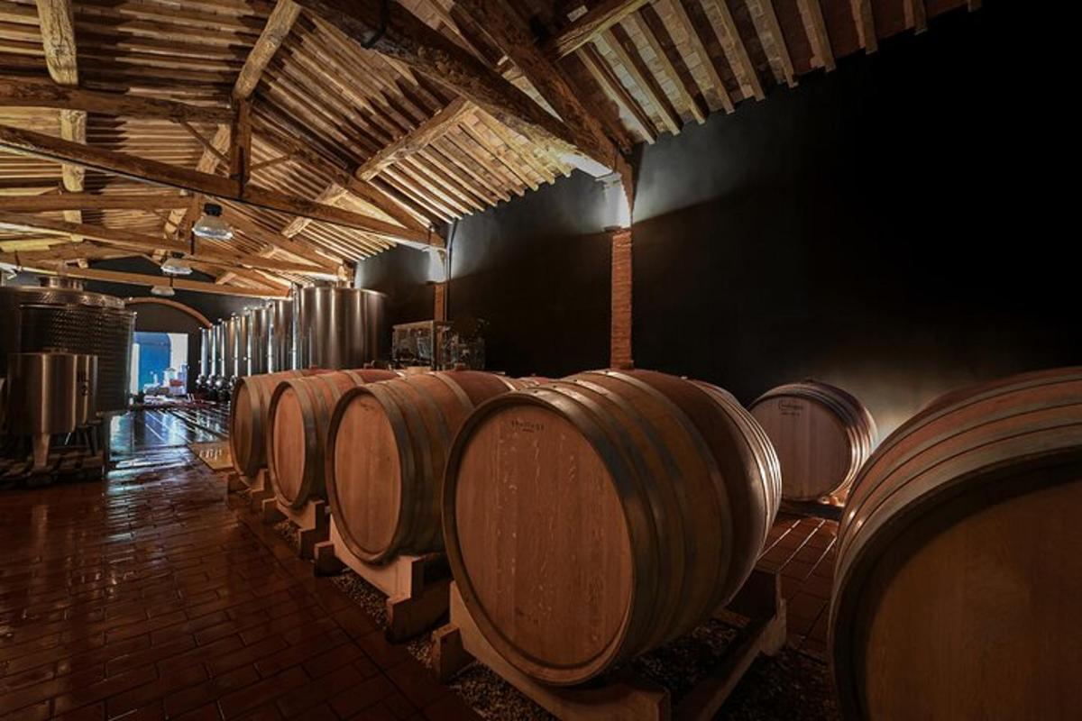 une rangée de tonneaux de vin dans une cave à vin