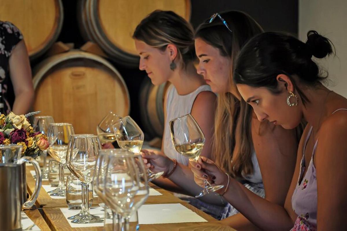 un groupe de femmes assises à une table avec des verres à vin