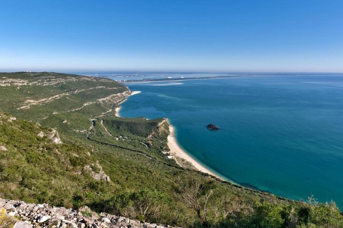 una vista aerea di una spiaggia e dell'oceano